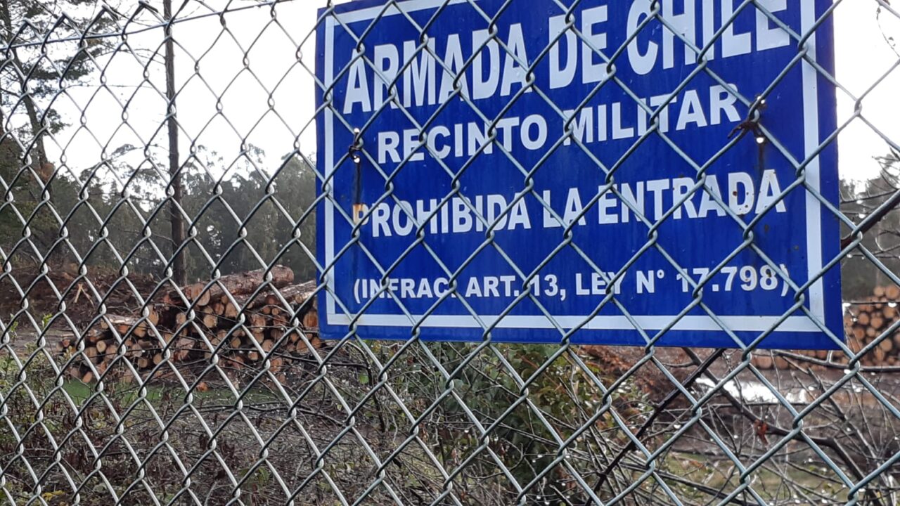 Negocio forestal en terrenos de la Armada en Talcahuano | Emilio Lara